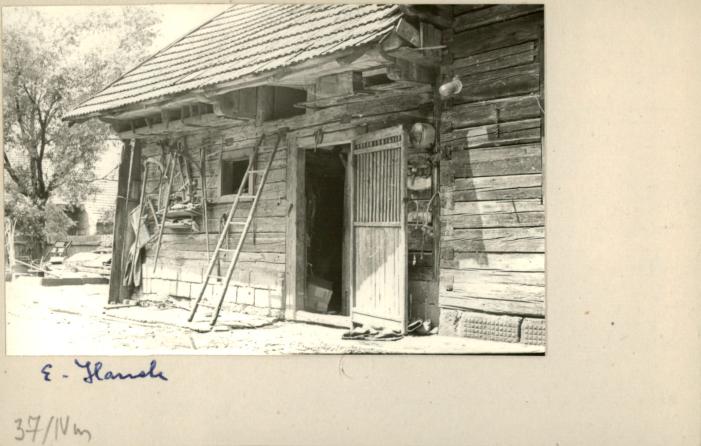 stajnia, skan 2