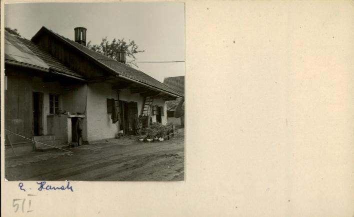 stajnia, skan 2