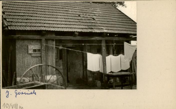 stajnia, skan 2
