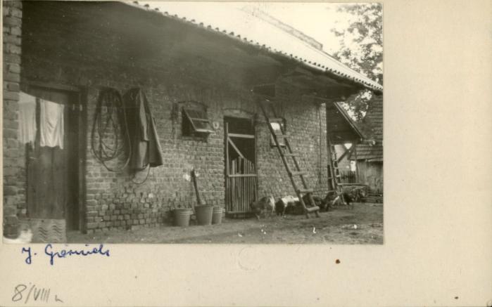 stajnia, skan 2