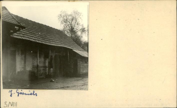 stajnia, skan 2