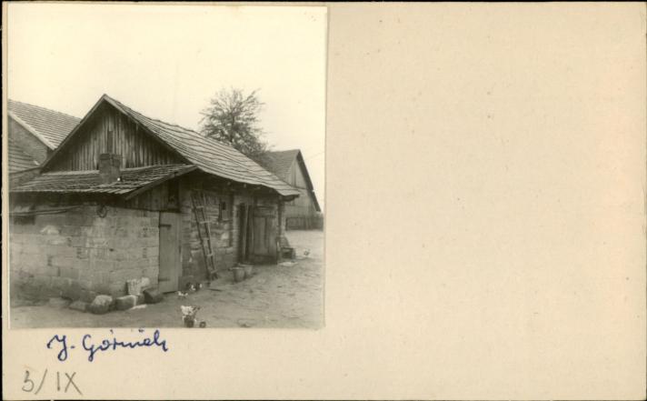 stajnia, skan 2