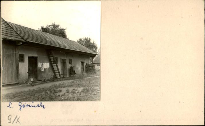stajnia, skan 2