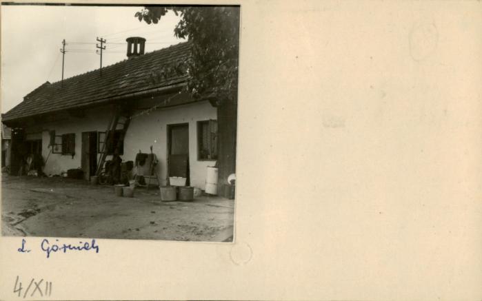 stajnia, skan 2