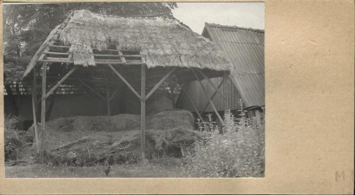 bróg, skan 2