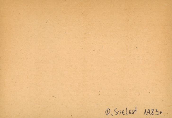 nagrobek na cmentarzu rzym., skan 2