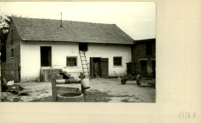 stajnia, skan 2