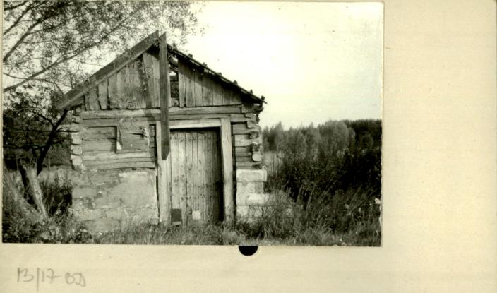 suszarnia, skan 2