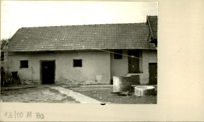 stajnia, skan 2