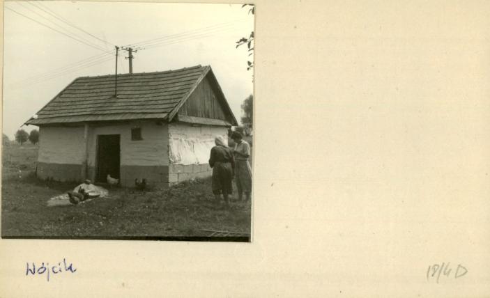 stajnia, skan 2
