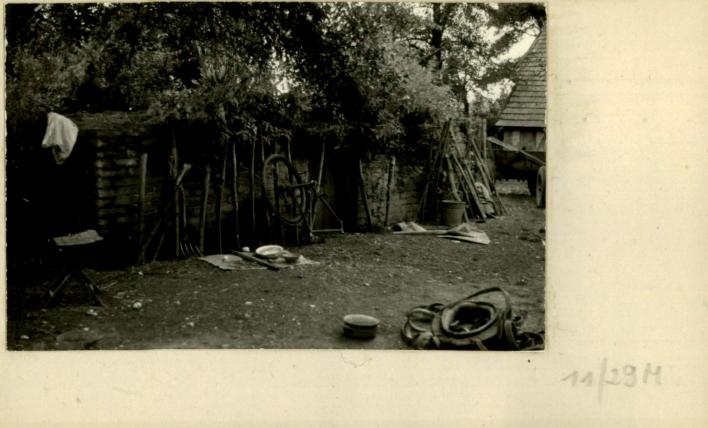 piwnica, skan 2