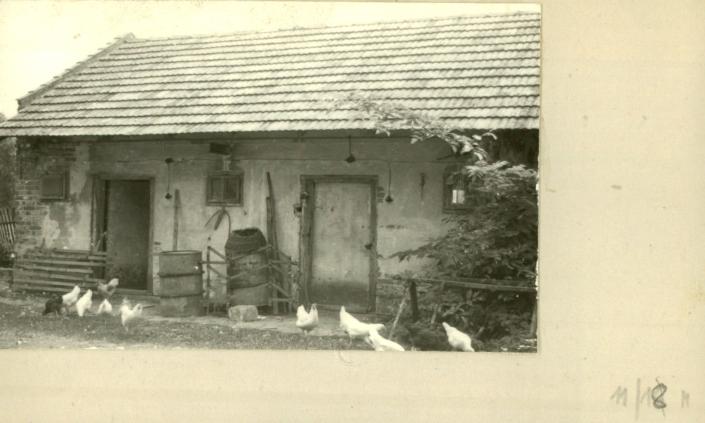 stajnia, skan 2