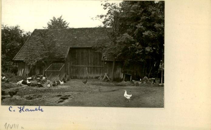 stodoła, skan 2