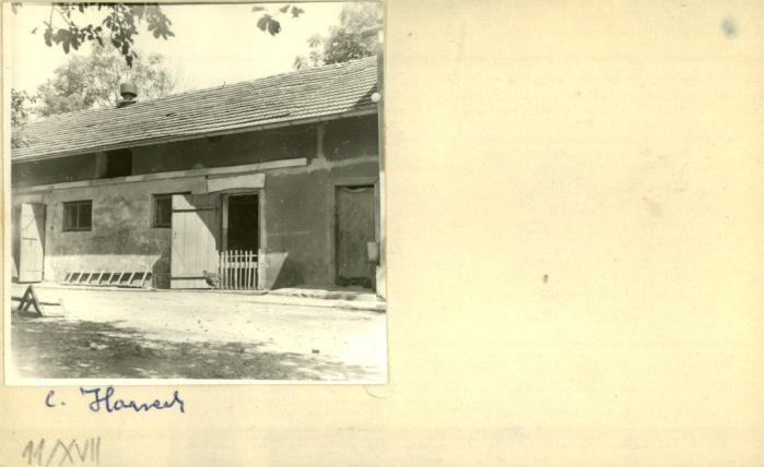 stajnia, skan 2