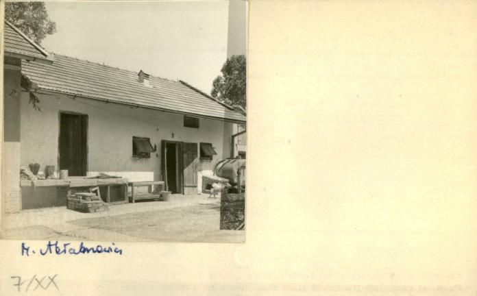 stajnia, skan 2