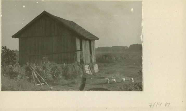 bróg, skan 2