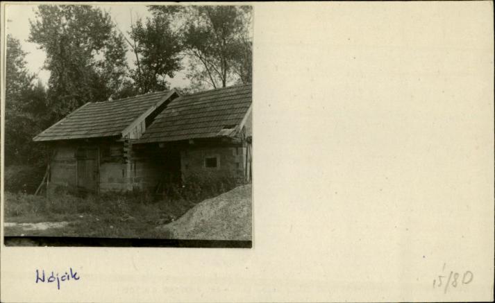 stajnia, skan 2