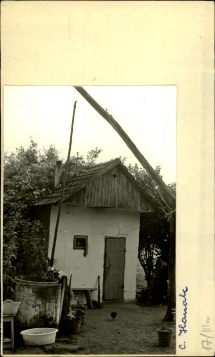 suszarnia, skan 2