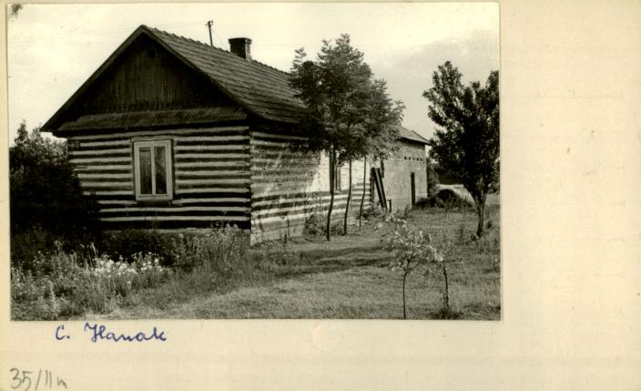 dom, skan 2