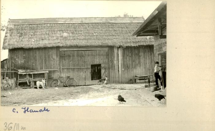 stodoła, skan 2