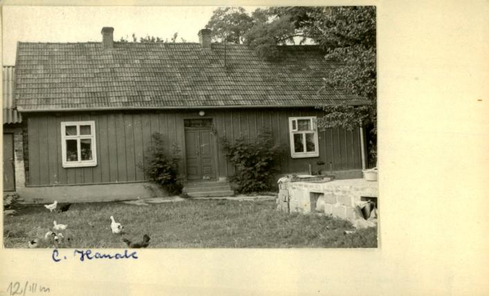 dom, skan 2
