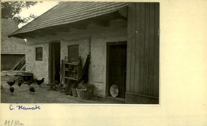 stajnia, skan 2