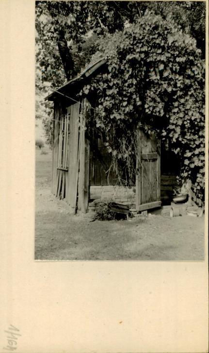 suszarnia, skan 2