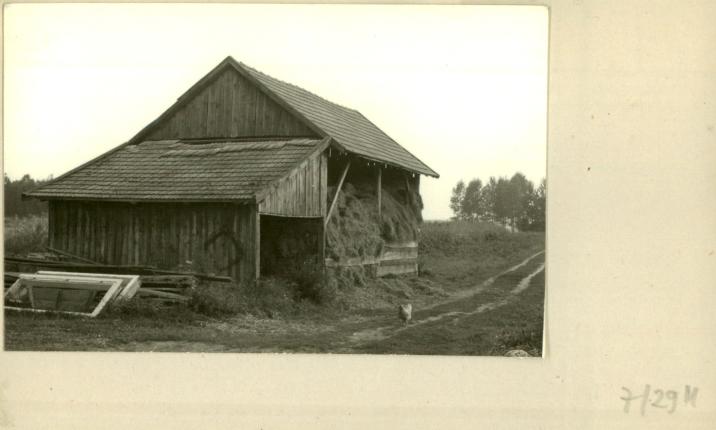 bróg w zagrodzie, skan 2