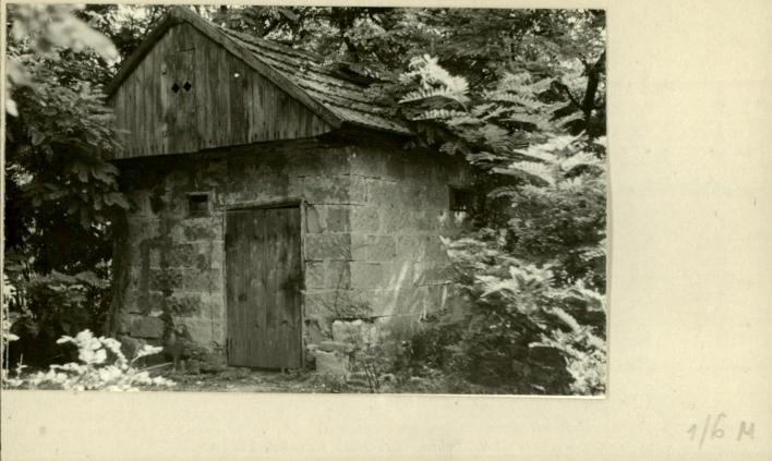 suszarnia, skan 2