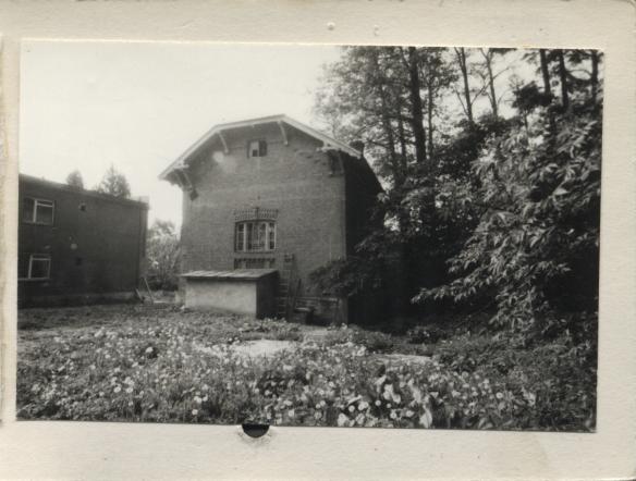 młyn, skan 3