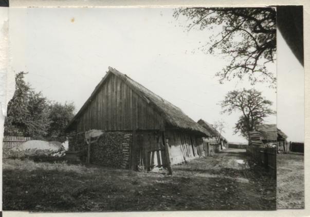 zespół zagrody, skan 3