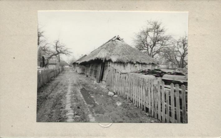 obora w zagrodzie, skan 2