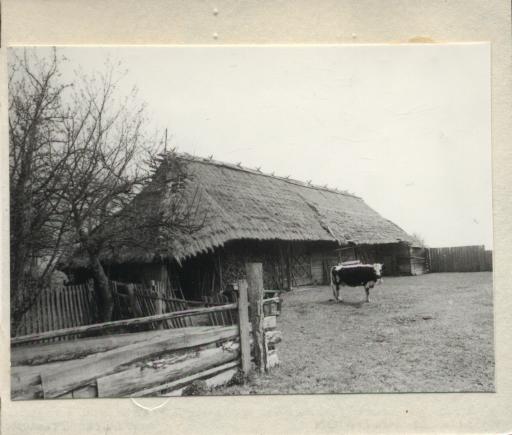 stodoła w zagrodzie, skan 3