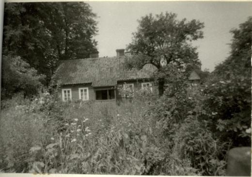 dom, skan 3