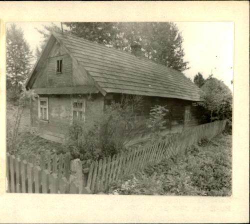 dom, skan 3