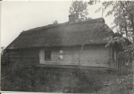 dom, skan 3