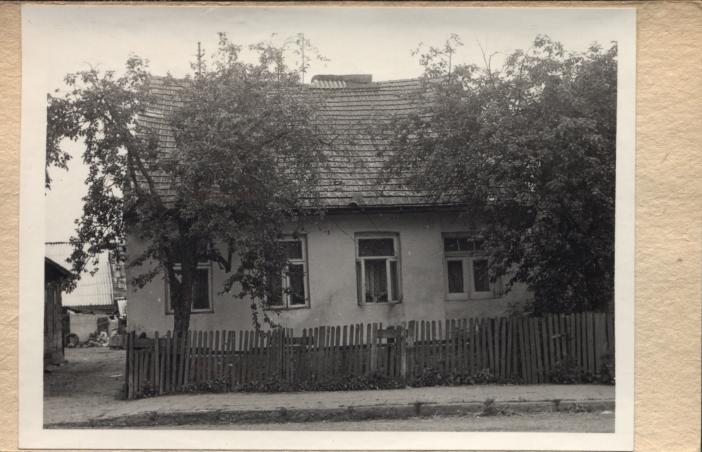 dom, skan 2