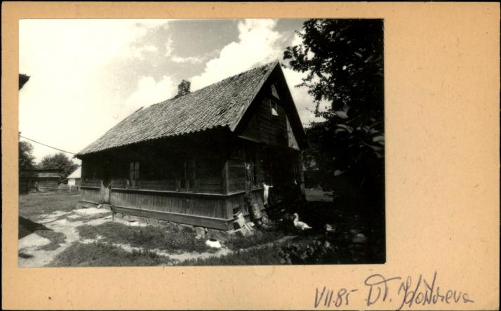 dom, skan 2