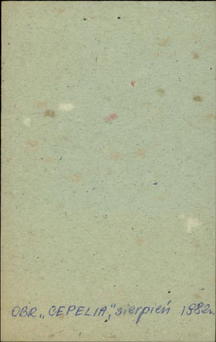 plebania, skan 3