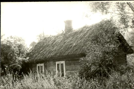 dom, skan 2