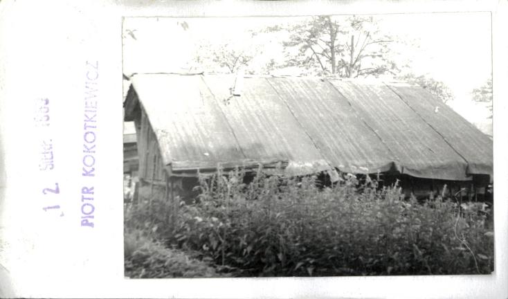 piwnica, skan 2