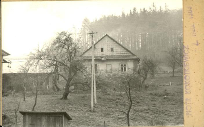 dom, skan 2
