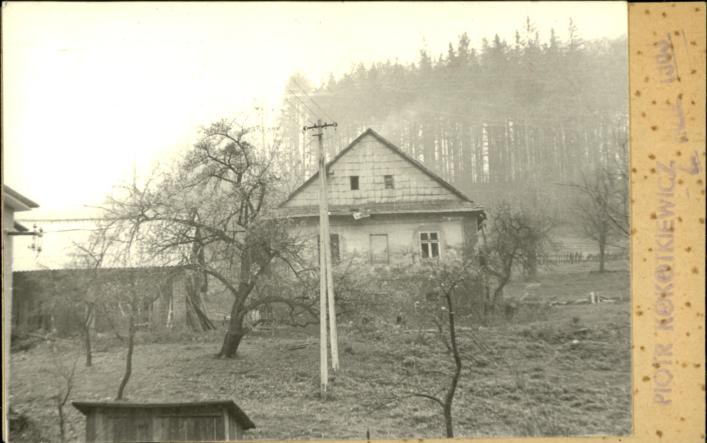 dom, skan 2