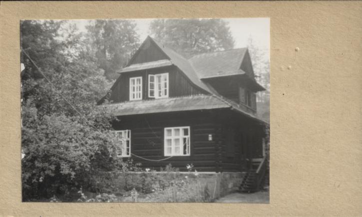 dom, skan 2