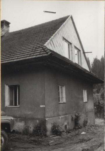 dom, skan 2