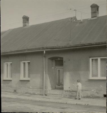 dom, skan 2