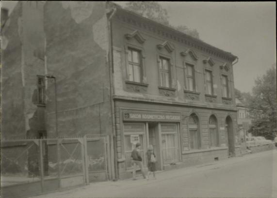 dom, skan 2