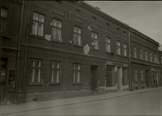 dom, skan 2