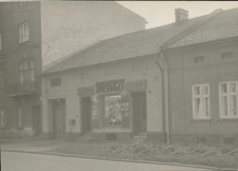 dom, skan 2