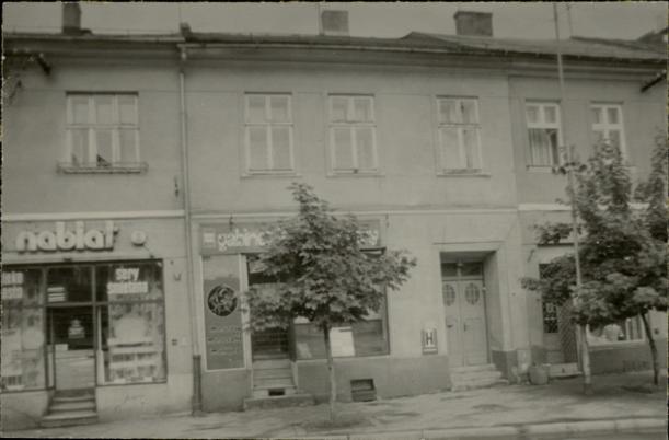 dom, skan 2